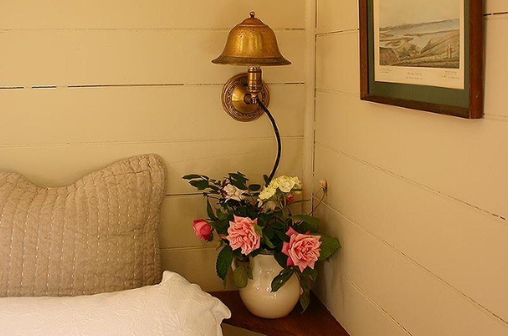 Bluff Hill Bed & Breakfast Napier Exterior foto